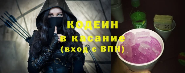 хмурый Алзамай