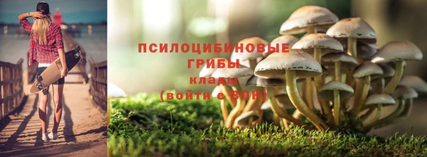 хмурый Алзамай