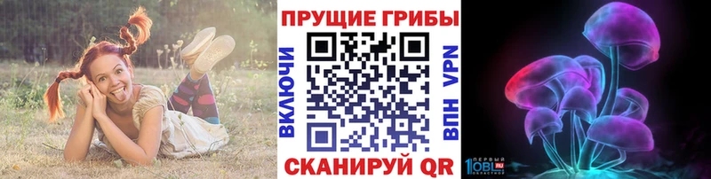 MEGA сайт площадка наркотические препараты Псилоцибиновые грибы мицелий Шатура