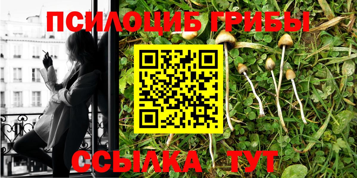 Шатура  Галлюциногенные грибы мухоморы  Вход с VPN 